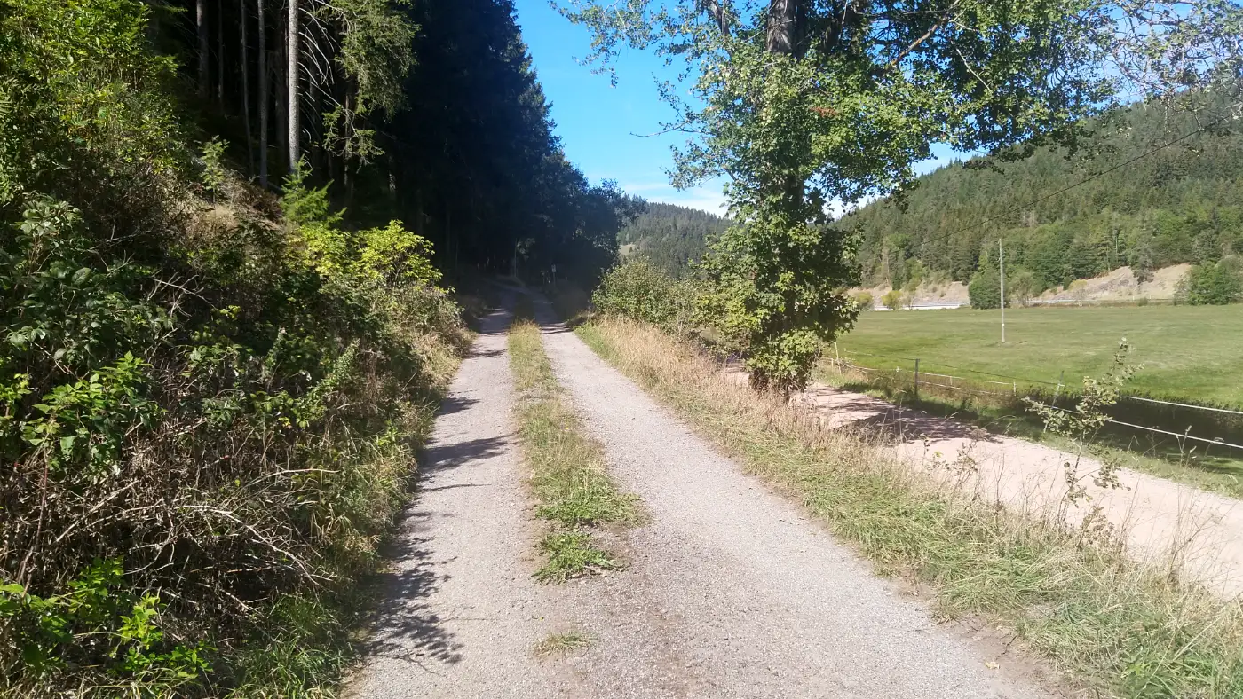 Bildtitel: Bregtal bei Hammereisenbach
