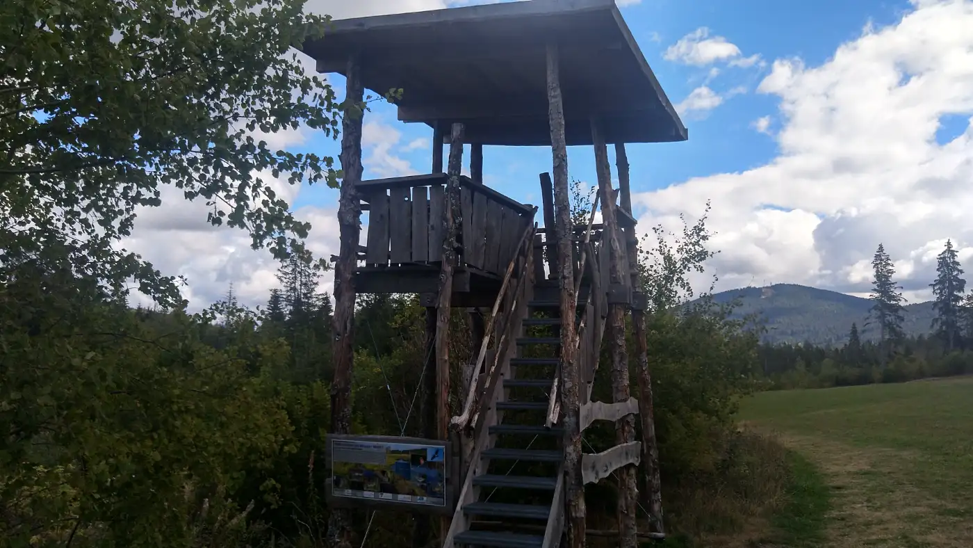 Bildtitel: hölzerne Aussichtsplattform am Wiesler Moor
