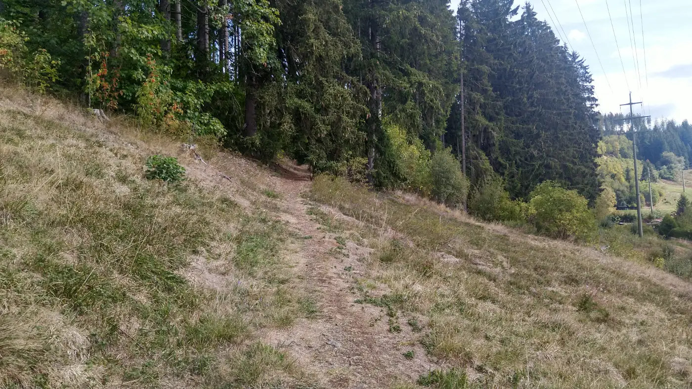 Bildtitel: am Schottenbühl
