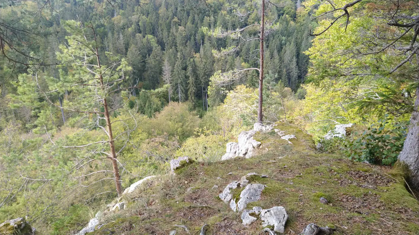 Bildtitel: Felsvorsprung Wangerei