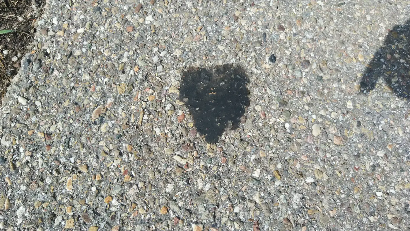 Bildtitel: Teufels-Pareidolie