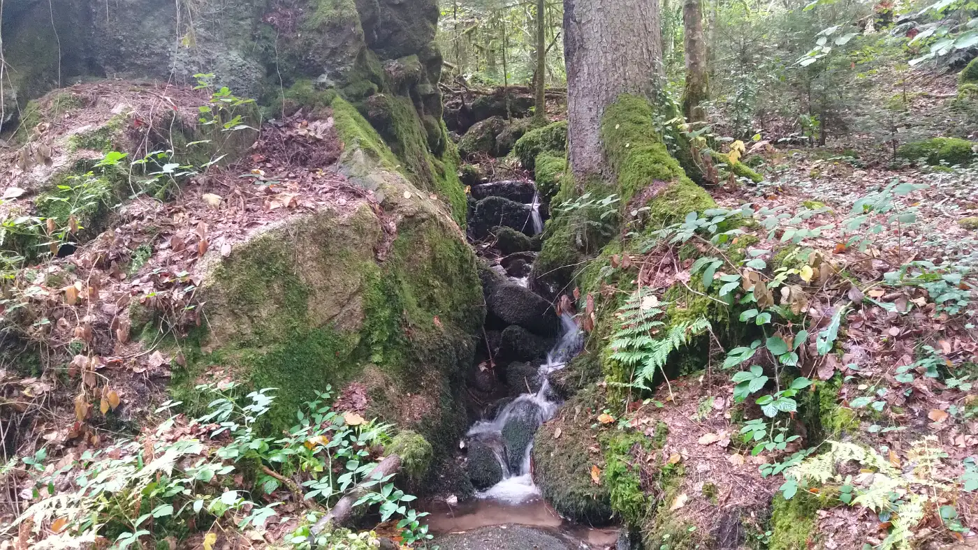 Bildtitel: Bachlauf am Marxenloch