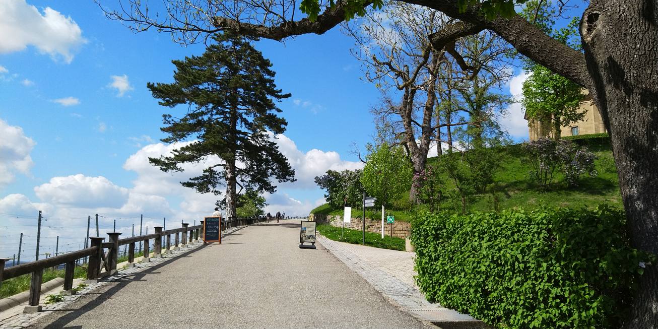 Bildtitel: Weg hinauf zum Württemberg